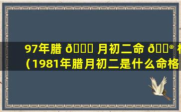 97年腊 🐝 月初二命 💮 格（1981年腊月初二是什么命格）